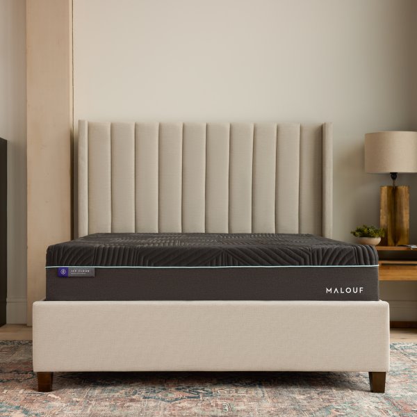 Ice Cloud ActivAir Hybrid Mattress + Carboncool and Omniphase: Mattress Plus Signature Medium Plus