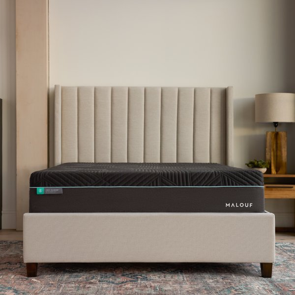 ICE Cloud Aeroflex Hybrid Mattress + Carboncool and Omniphase: Mattress Plus Signature Firm Mattress
