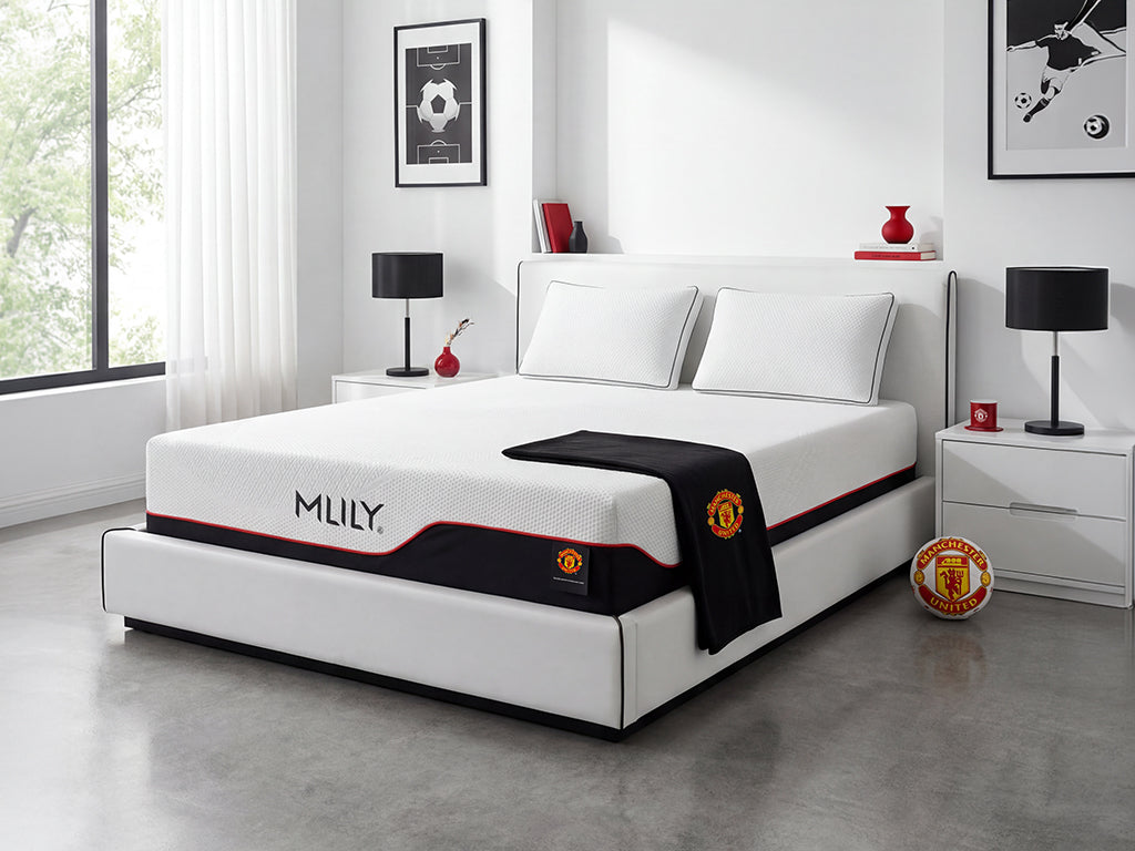 MLILY Dream Hybrid Mattress
