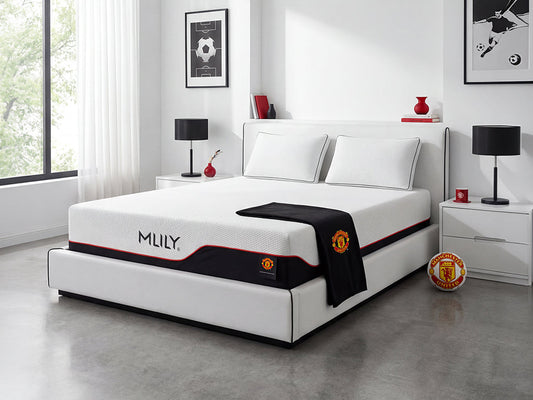 MLILY Dream Hybrid Mattress