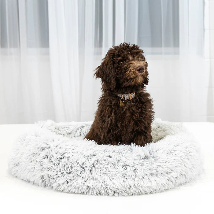 CERAMO PET BEDS